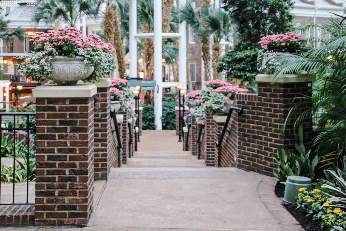 Tiffany Wood DO, MS tweet media