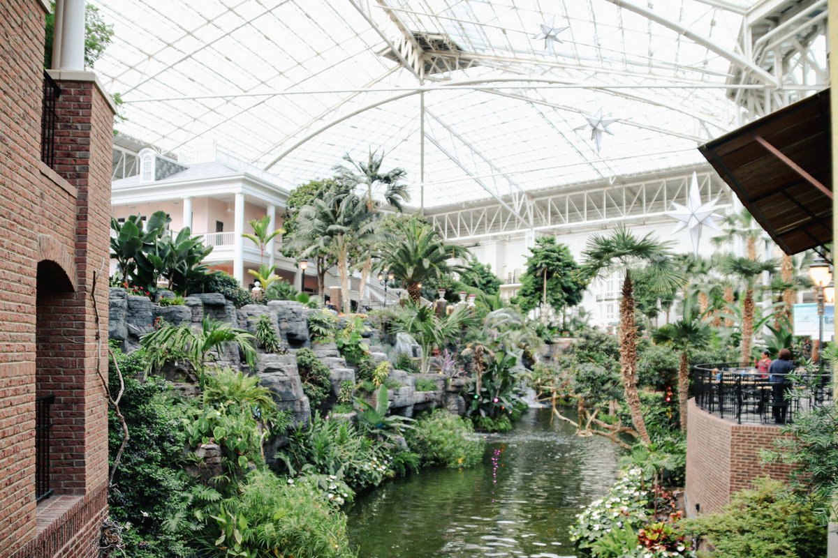 Tiffany Wood DO, MS tweet media