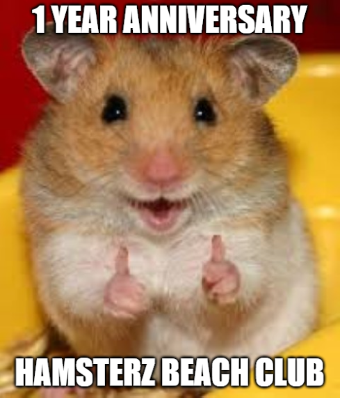 Hamsterz Beach Club 🐹 MINTING NOW 🔺 tweet media