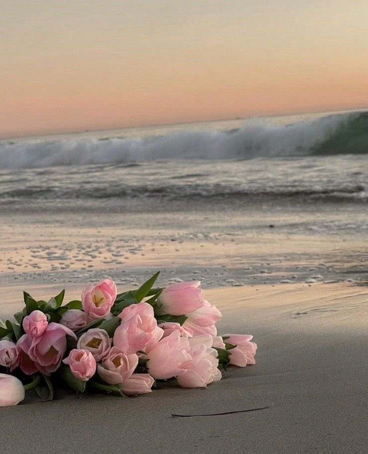 as_22234's tweet photo. ومعجَبُ الورد يقطفه ويرميه،

 أما المحبُّ فذاك

 الحافظُ الساقي

🌸🍃 https://t.co/fFMQCoKbJO