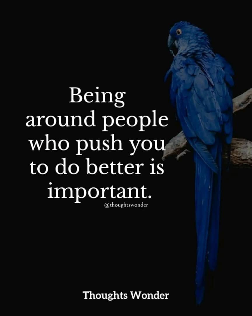 Carl Wayig tweet media