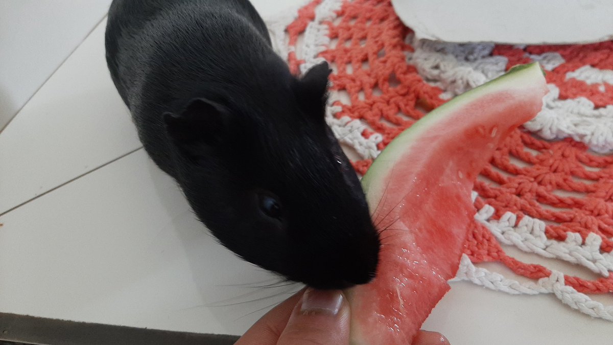 𝓚𝓪𝓮𝓵 tweet media