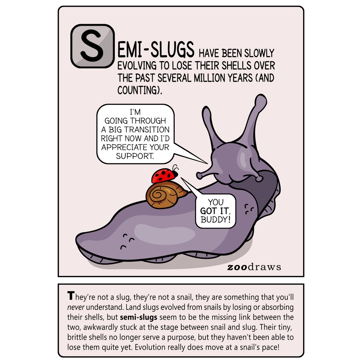 Zoodraws's tweet photo. Change is hard. Friends help🙂 🌟NEW comic! #semislug #gastropods #sciencehumor #slugs #snails #wholesome #friendshipgoals #friendship #wholesomemes #ladybug #prince #malacology #wholesomeness #wholesomememes #snaillife https://t.co/JYZrBrpCYy
