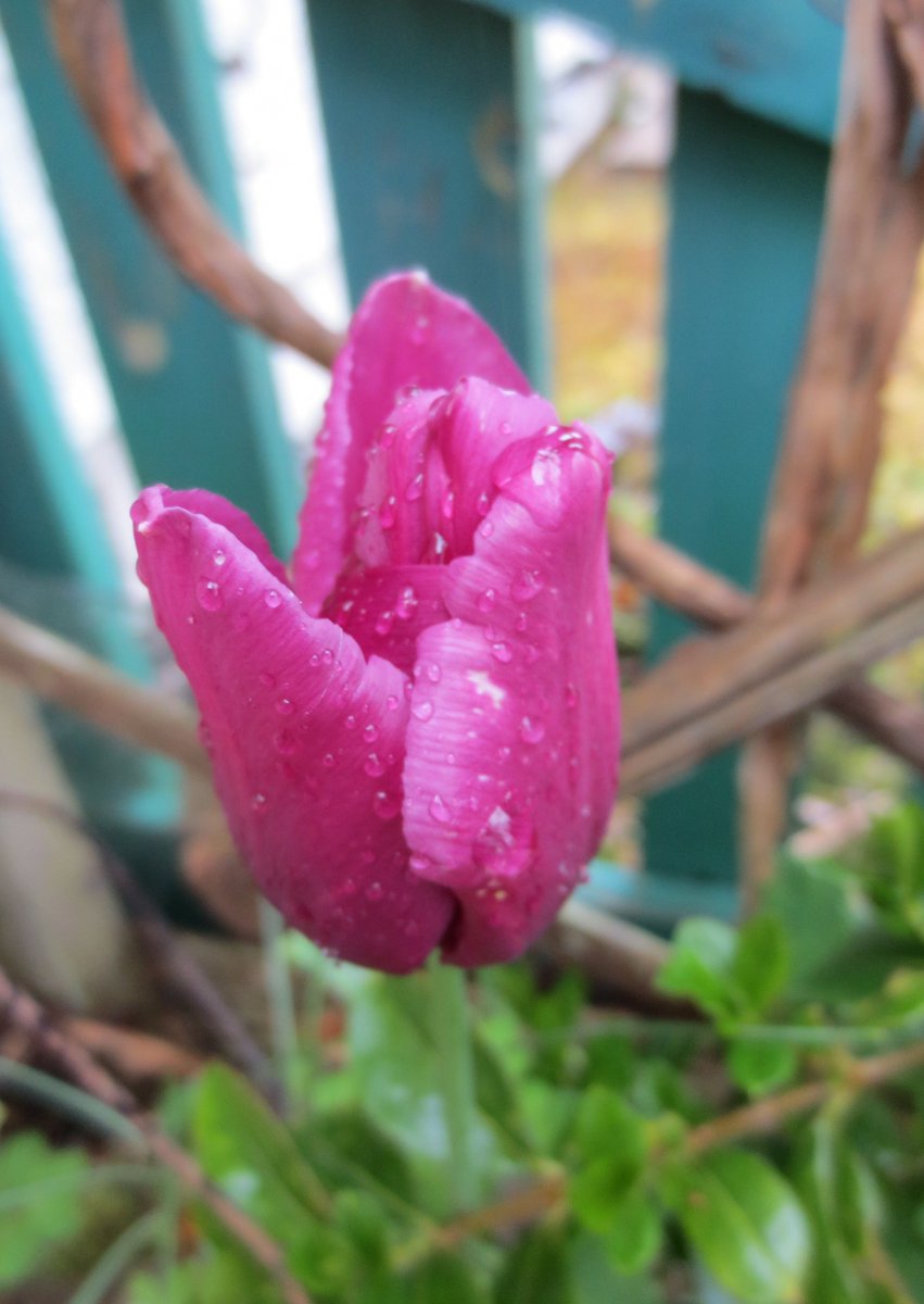 dmsk (@dmsk1313) on Twitter photo 