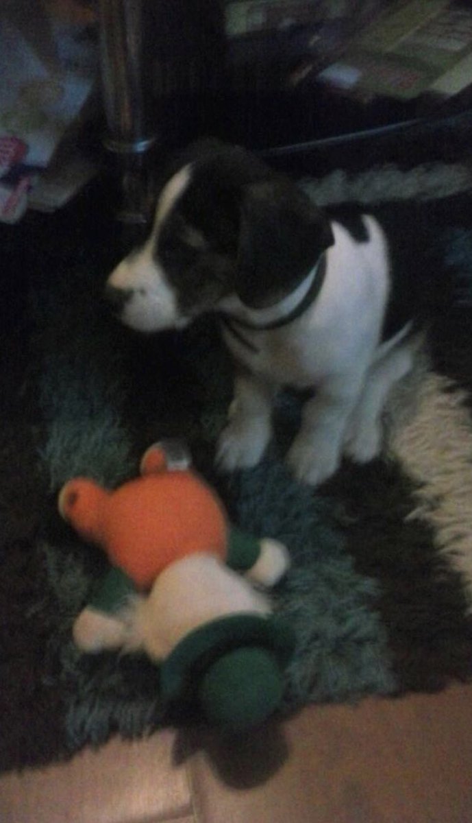 rianharkinf's tweet photo. such a wee granda now https://t.co/CfyrfeG0n6