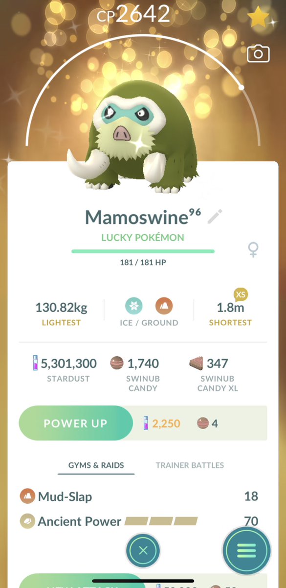 Joeeeyyy_13's tweet photo. Swinub community day 🐽 
400 catches
10 shinies ✨ 
2 💯 
Did a guaranteed lucky trade with @Mattstow18_PoGo and got a shiny 96IV swinub too 🤩💪 
#PokemonGO #SwinubCommunityDay #PokemonGOCommunityDay #PokemonGOApp #LuckyPokemon #PoGoUK #PokemonGOfriend #LetsGO https://t.co/clNFBGCDPZ