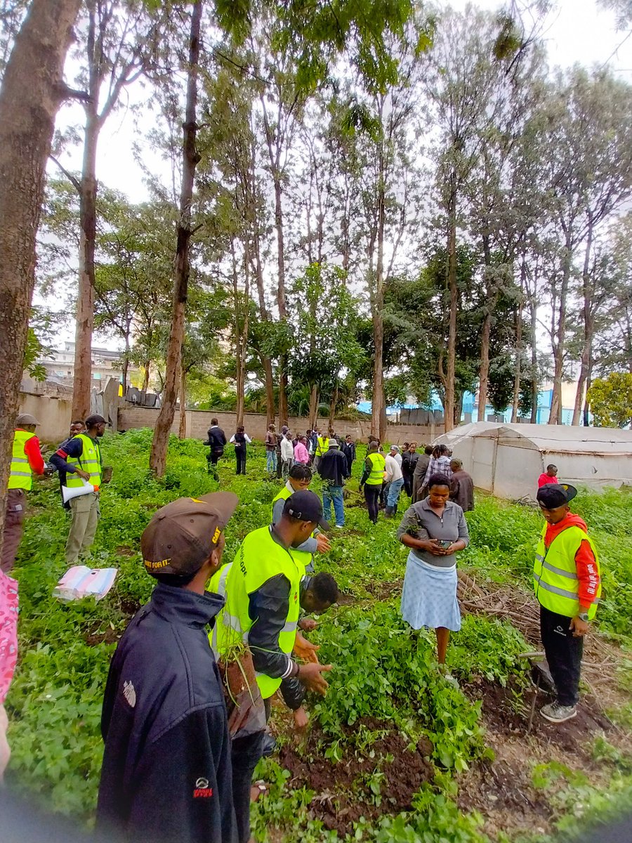 ke_asili's tweet photo. Everyday is plant day, wouldn't have wanted to end the week any other way🤭✨️🌳💯😁Planted 100 tree seedling in our community school. #generationrestoration #unep #tree_planters @UNEP @UN @Environment_Ke @ser_africa https://t.co/1M8jBCn3T3