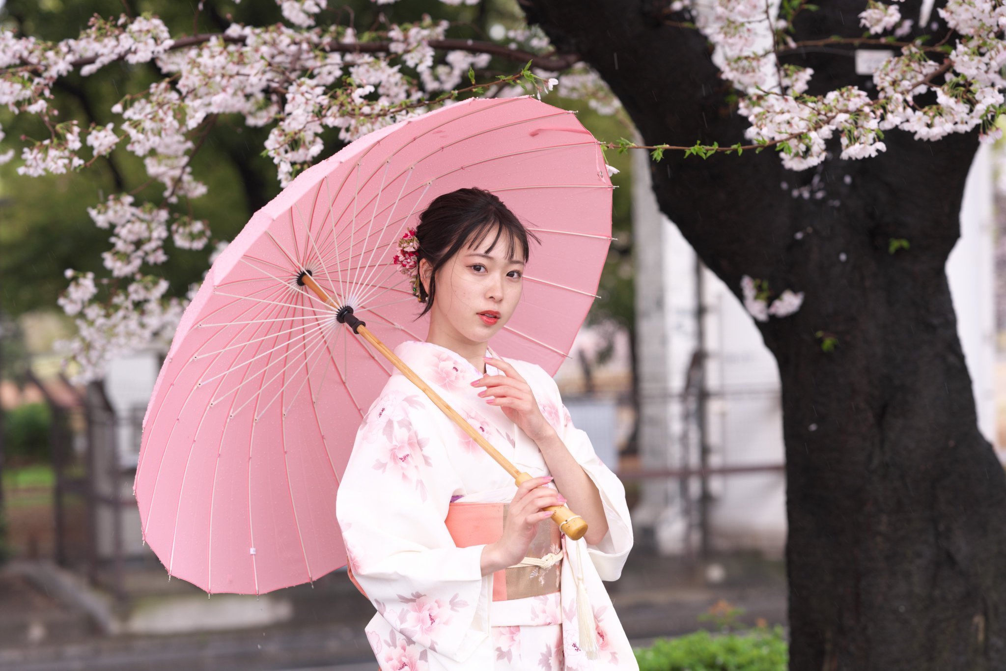 tridung20042002 ズオン ティ ユン (tridung20042002) / Twitter