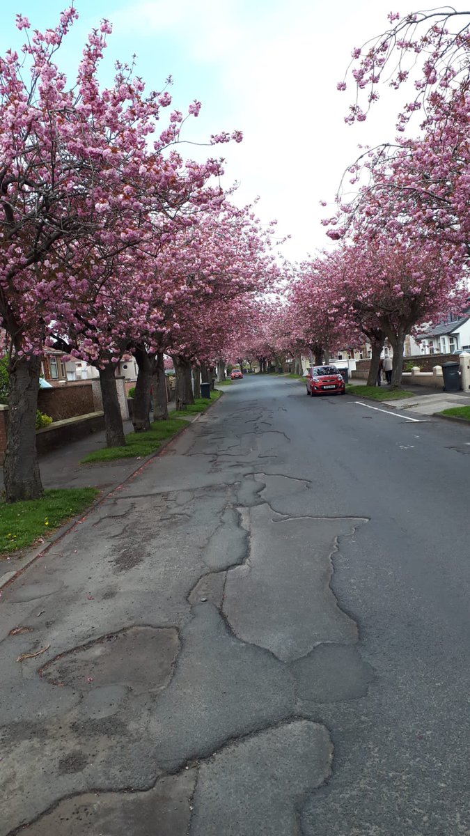 andyt1965's tweet photo. @North_Ayrshire one of the nicest streets in #irvine attracting tourists from all over the world at this time of year. However, the road is falling apart, full of potholes. Residents complaints have been ignored by tue council. https://t.co/3NS69vsVV9