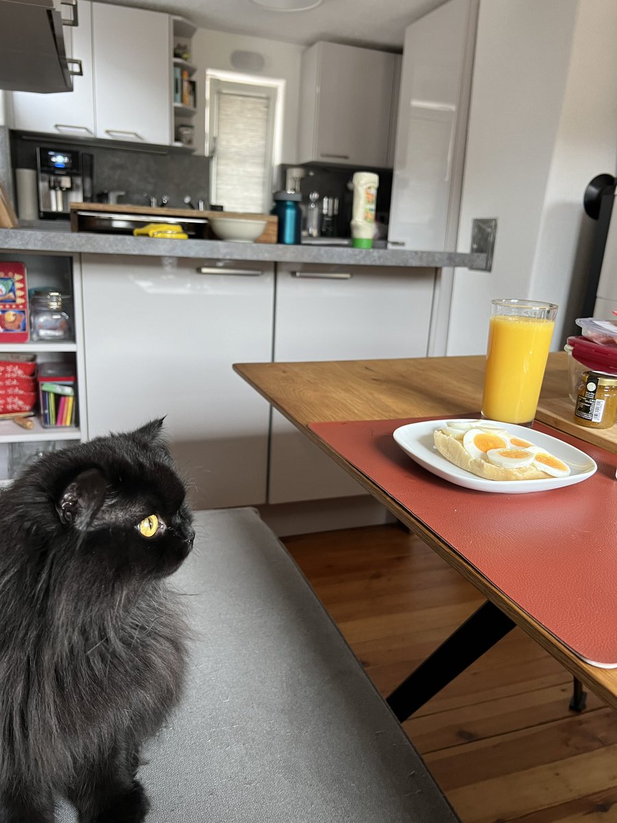 Inzuam's tweet photo. Frühstück mit Lexi https://t.co/ZyAnjEMlOC