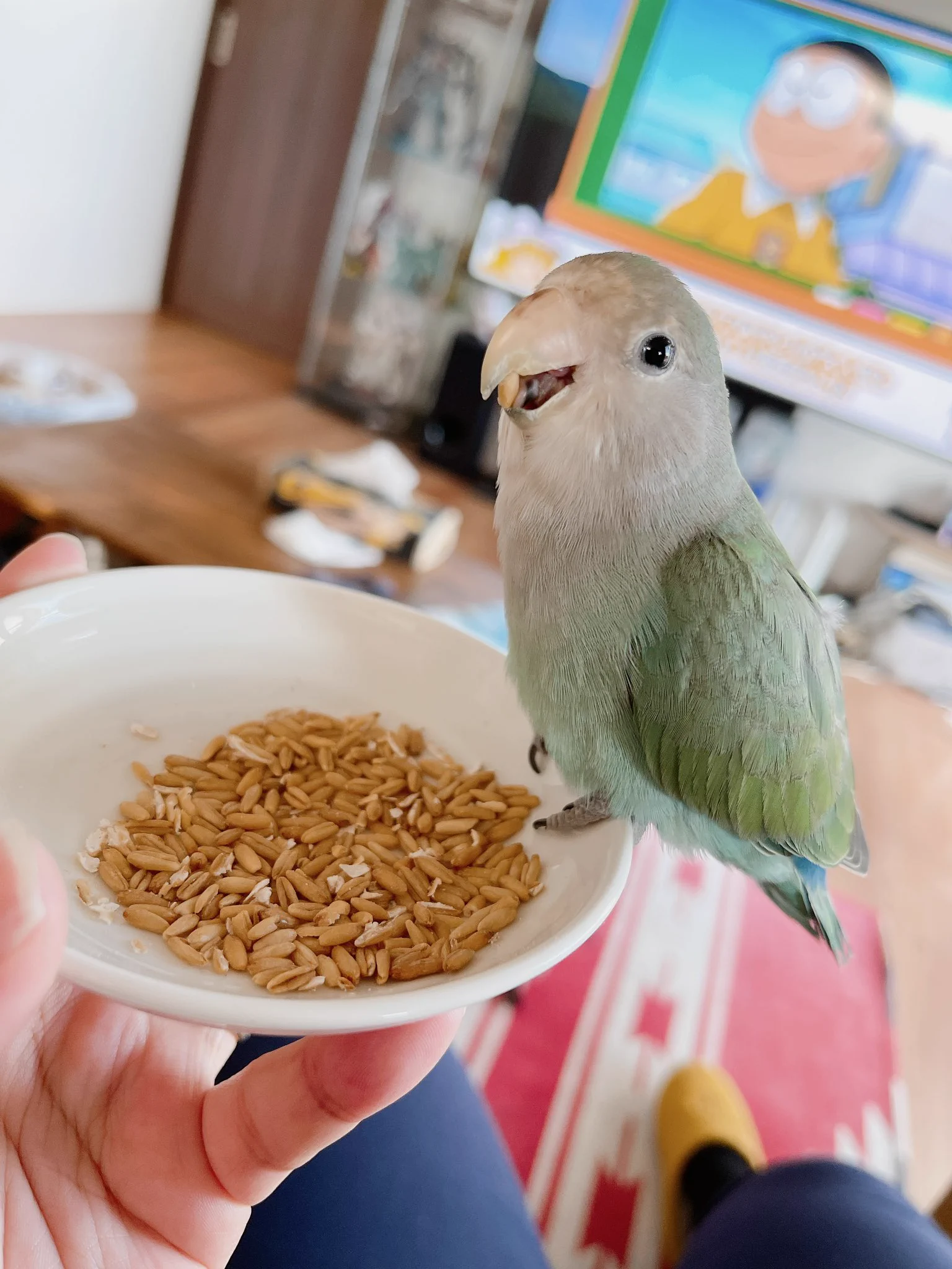 我が家もこの笑顔を見たら明日も頑張ろうって思う  