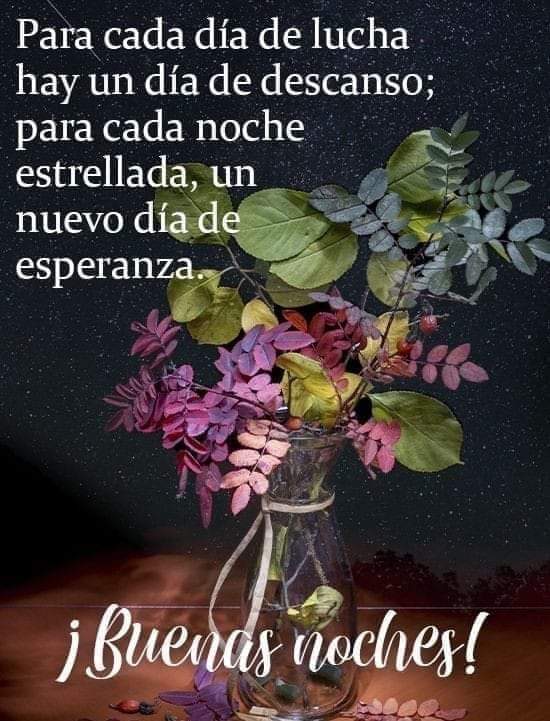 ¡Buenas noches! 
norfipc.com/amor/frases-de…
#buenasnoches #feliznoche
