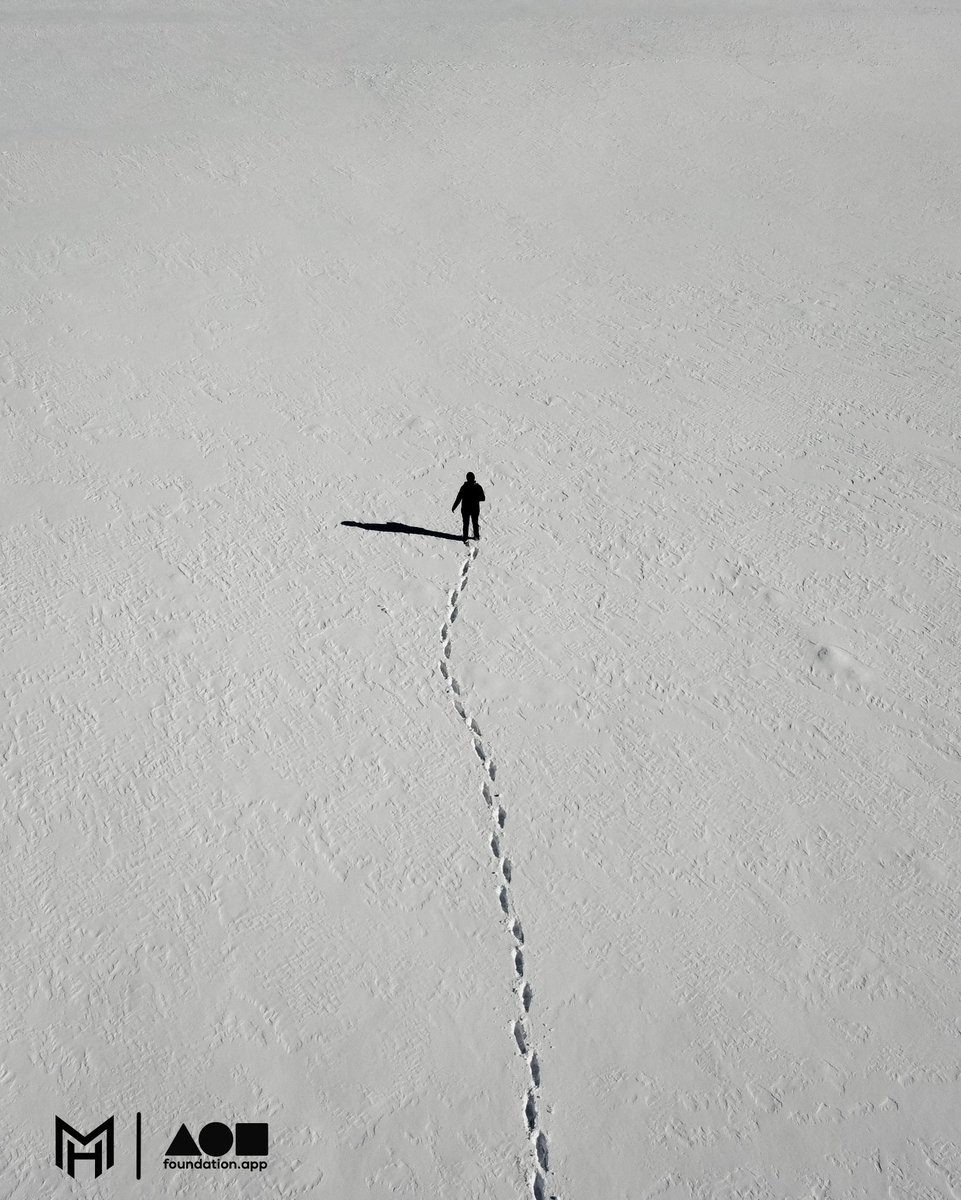 Mr|Coin 🍩 tweet media