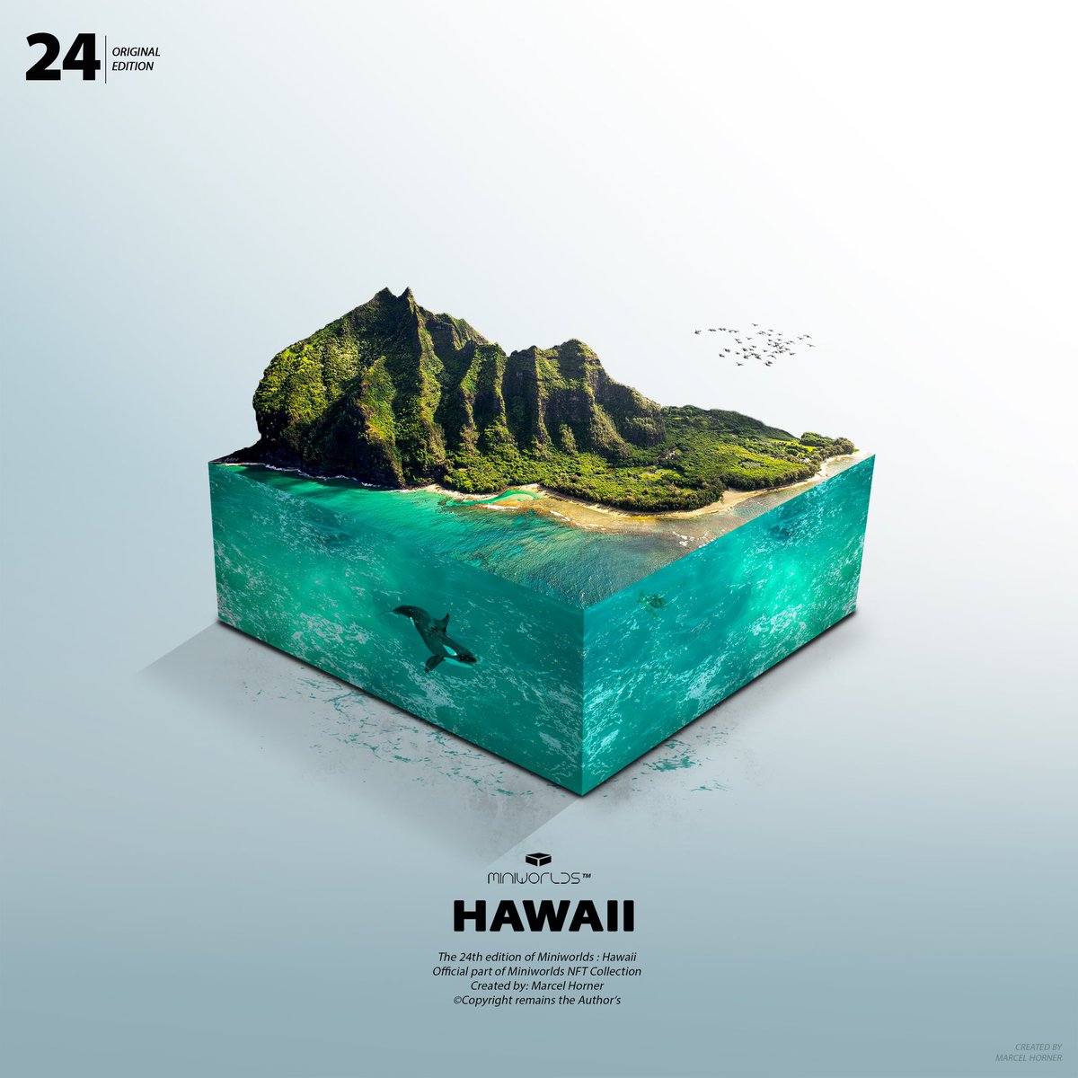 Mr|Coin 🍩 tweet media