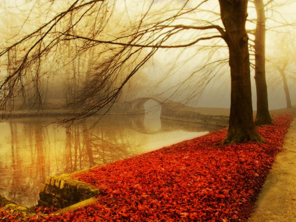 nordicwebdesign's tweet photo. Autumn Mist, Sakura, Japan #AutumnMist #Sakura #Japan https://t.co/Oi4nzIegCo https://t.co/kP1g34L8E5