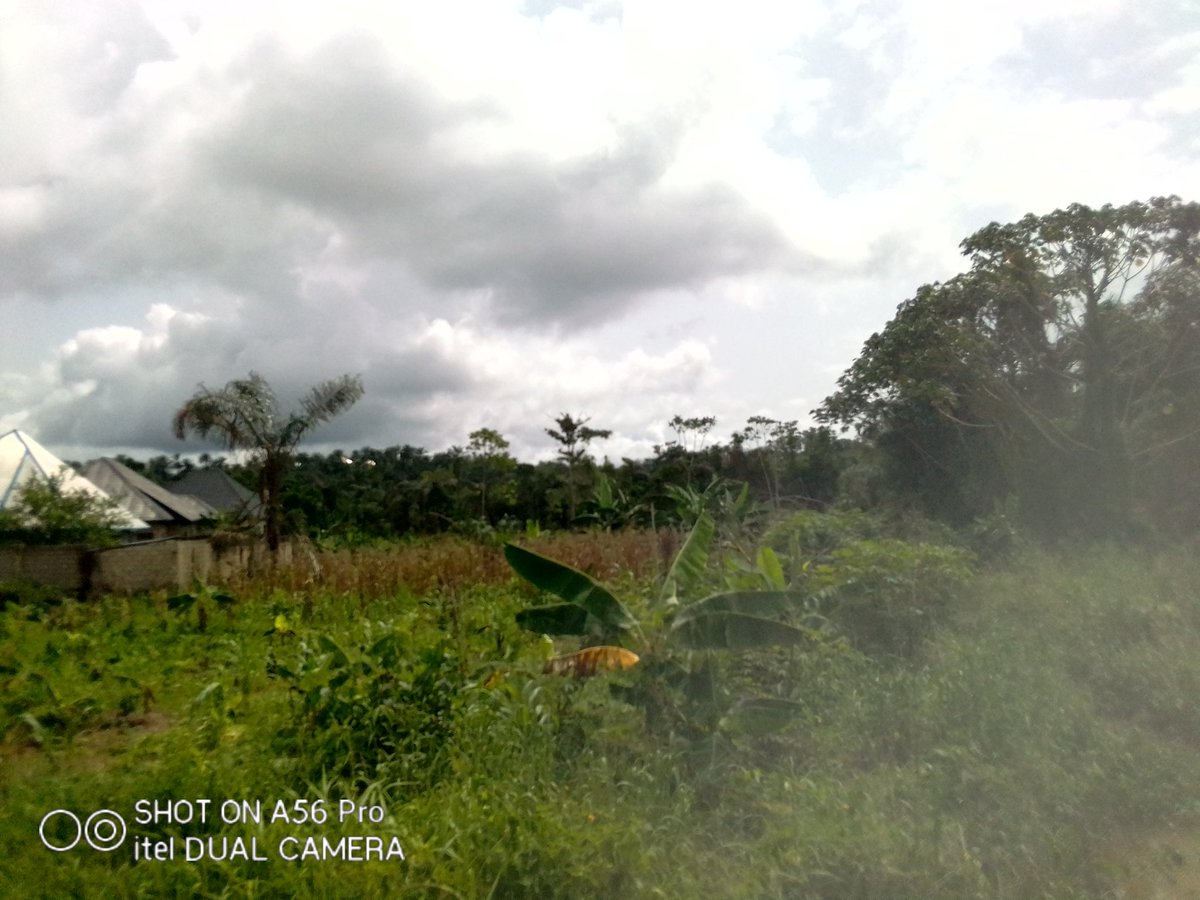The Agri-Contractor | Farmily Field Farms tweet media