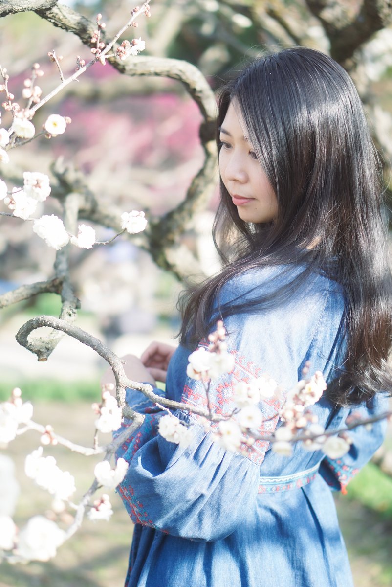 HyoRyo's tweet photo. 梅と青と光

#カメラサークル #写真サークル #ゆるかめ #関西 #大阪 #兵庫県 #京都 #被写体募集中 #写真好きと繫がりたい #写真撮ってる人と繋がりたい #カメラ好きな人と繫がりたい #ポートレート好きな人と繋がりたい #被写体初心者歓迎 #ポートレートモデル募集 #写真の奏でる私の世界 https://t.co/Z1gNhnVdtg