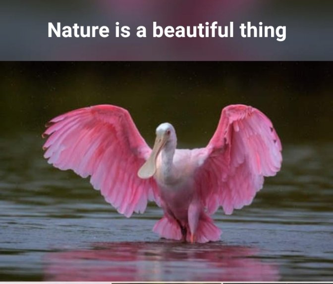 DJ Cuppy arrival to your event...
<a href="/cuppymusic/">Cuppy</a>