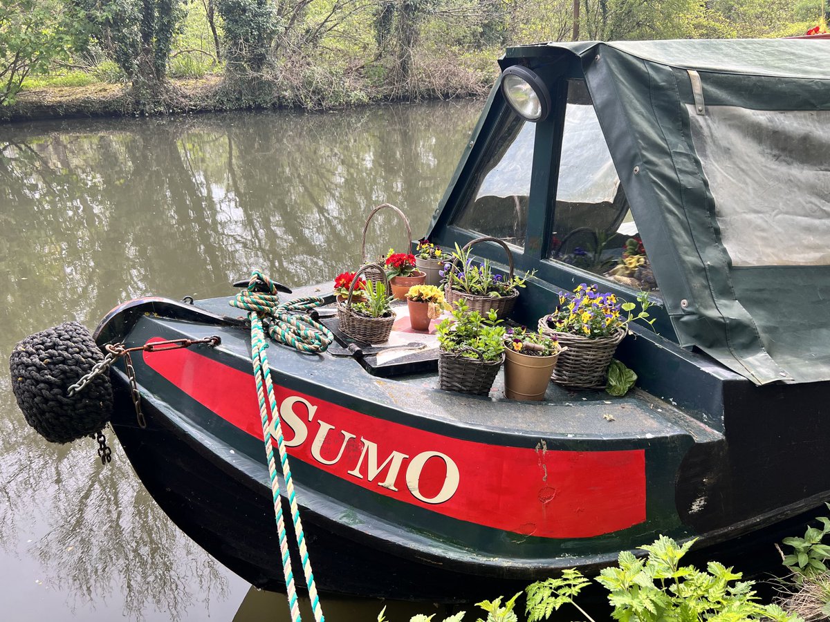 aroundthehouses's tweet image. Obviously because they #wrestled with the idea of getting a boat 😉