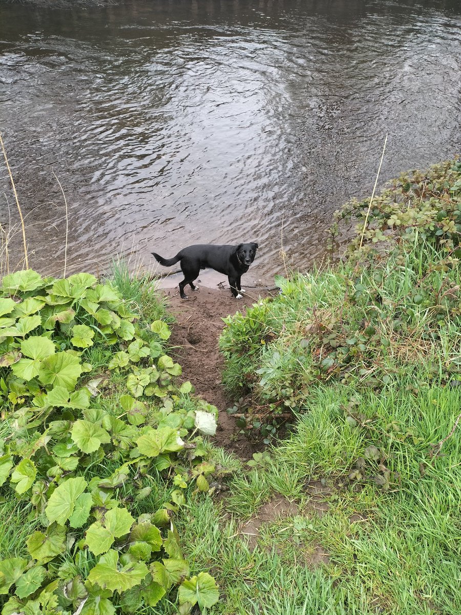 438sharon's tweet photo. Sunday morning walks. Just me and my dog. The mist moving across the hills is such a beautiful sight in the stillness of the early morning. https://t.co/dpOj1ISdcy