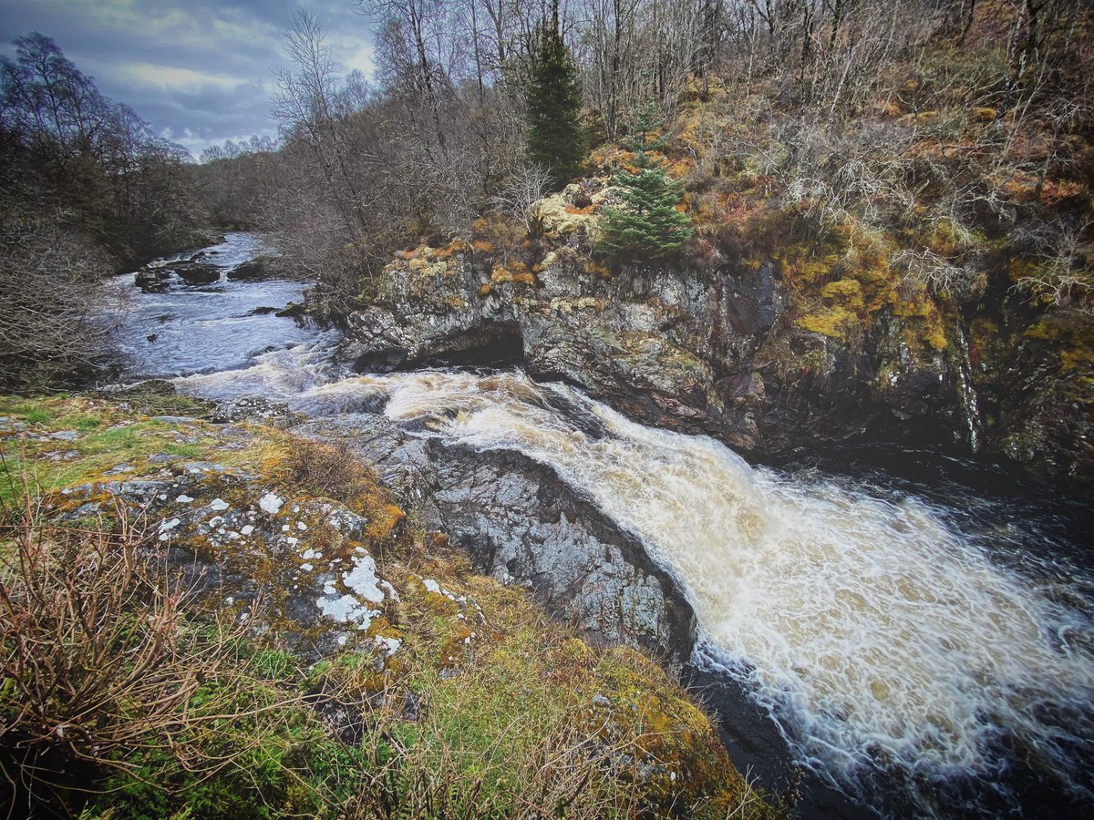 FrazerGrainger's tweet photo. Falls of Shin 💦🏴󠁧󠁢󠁳󠁣󠁴󠁿 https://t.co/vgUDqRRANH