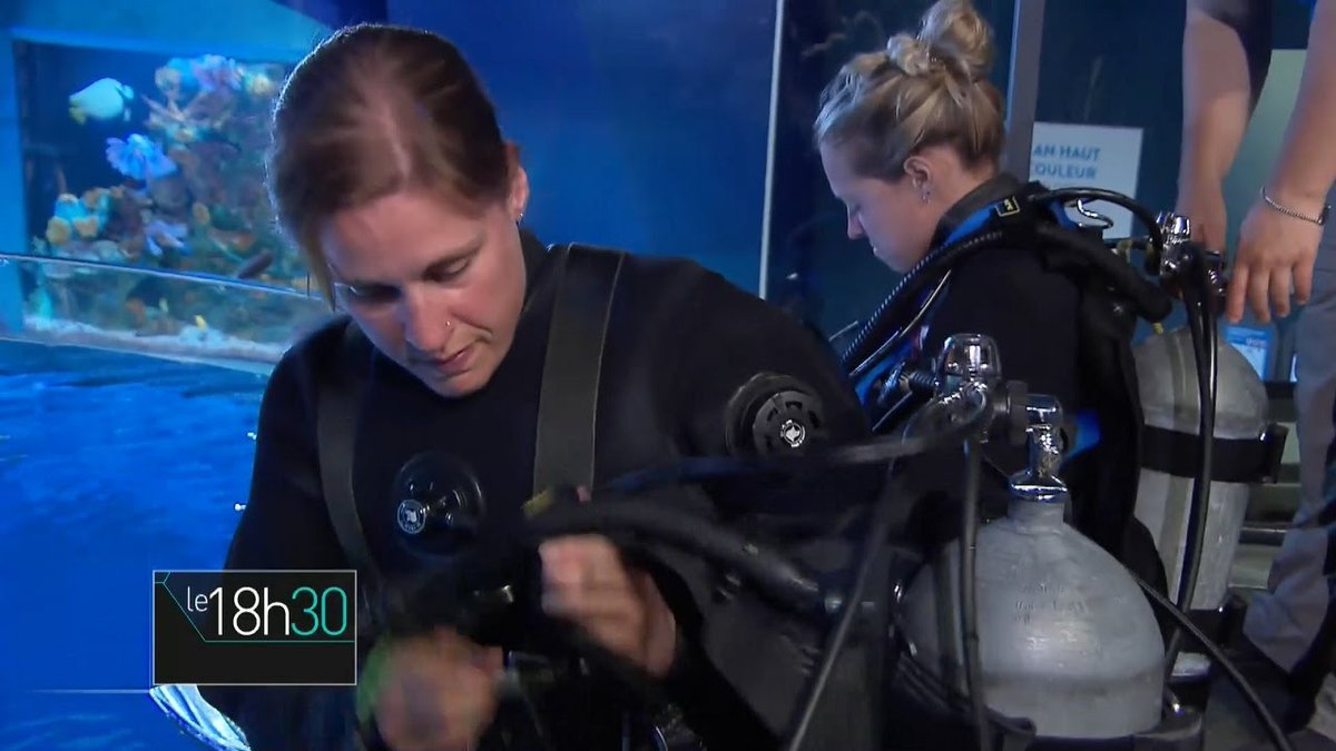 Aquariums: Female Divers are #Diving with Neoprene #Drysuit ...
 
#Diver #FemaleDiver #Scuba #ScubaDiving
 
flakefood.com/407824/aquariu…