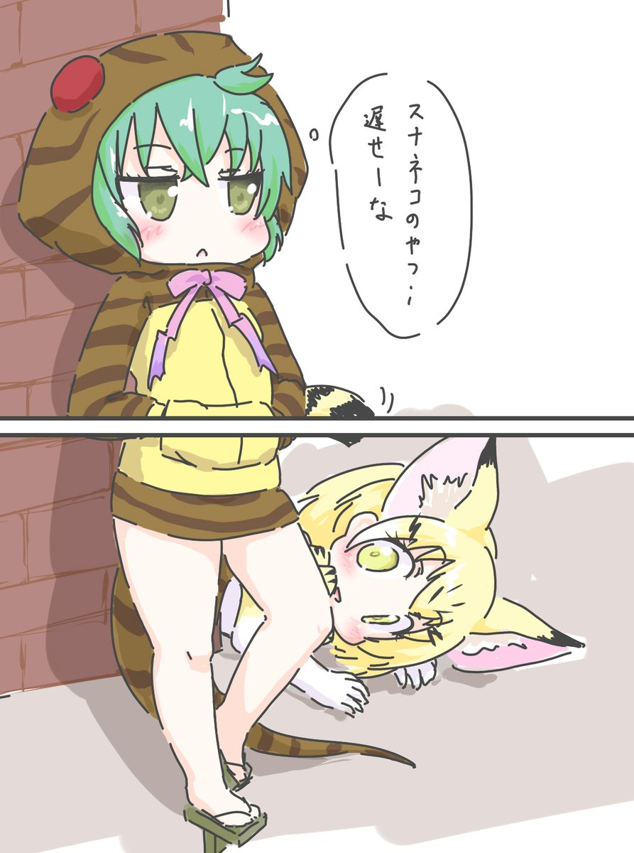 スナネコですっ 