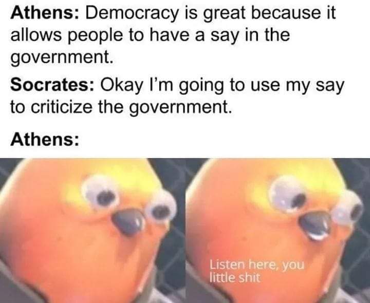 Classical Studies Memes tweet media