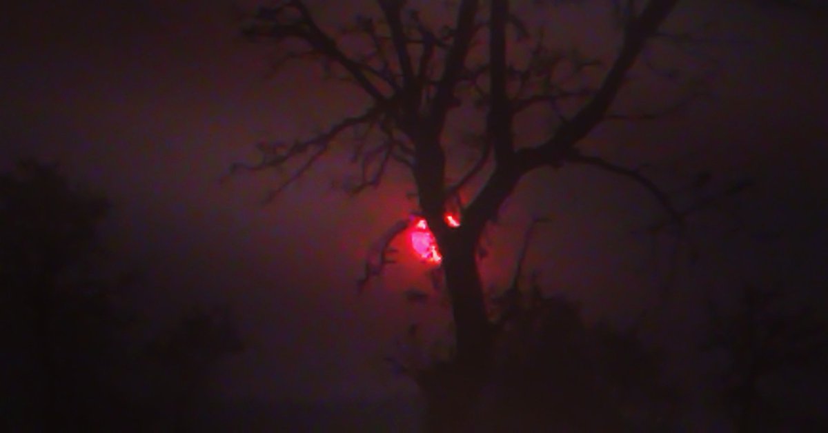 AjaySontu's tweet photo. Sunset 
#discovery #history #google #photography #photographer #mobilephotography #myincrediblestory #netgeo #incredibleindia #earth #reels #video #travel #sunset #sun #sunrise #illusion #biodiversity #nature #tourism #image #life #imagination #magical #chhattisgarh #india https://t.co/tZVP1OwHbn