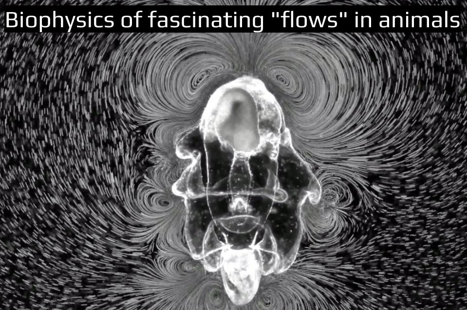 ICB_journal's tweet photo. A Sunday #Science read: 

An interview with Dr. Vivek Prakash (@Viveknprakash ) on career transitions between #physics and #Biology 

by Joseph Mack 

https://t.co/GL8G4w29rD

This author was part of s6 headed by @drpluteus &amp; Dr. Jeanette Wheeler

#sciencetwitter #Phd #academia https://t.co/jQrl9vvUtZ