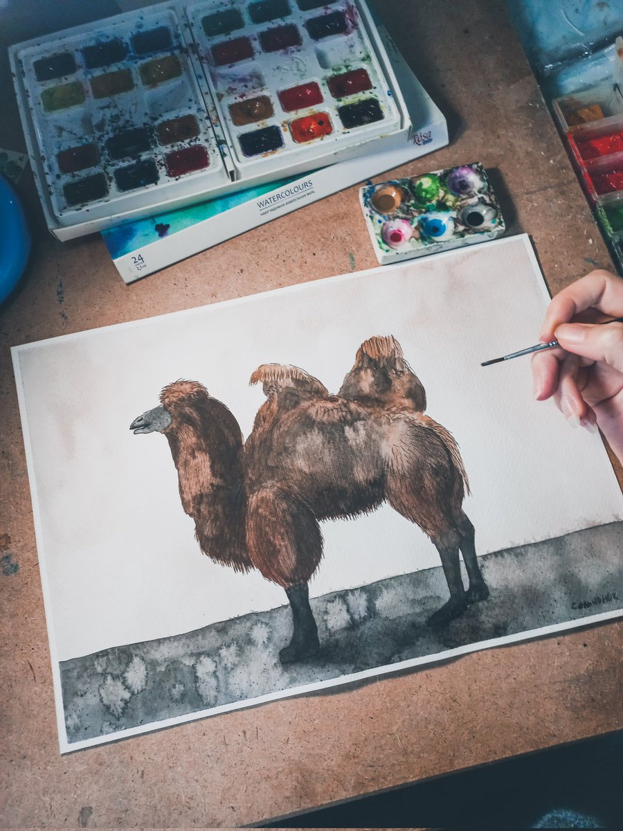Have a nice day everyone. I am preparing for an exhibition at the zoo, here is the first illustration of camel.
#art
#watercolour
#illustration
#nftart
#watercolorpainting
#painting
#animal
#camel
#nft