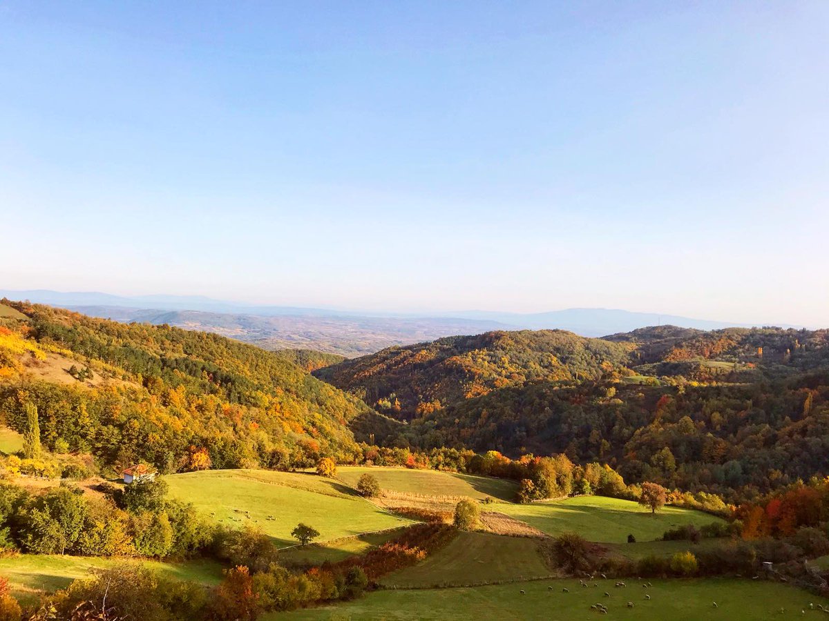 maricaziva's tweet photo. ❗Apel svima koji će ovih dana pohrliti u prirodu, da istu poštuju i štite.
❗Nemojte seći zdravo drvo da biste ispekli roštilj! 
❗Ne ostavljajte za sobom đubre, zašto tako uzvraćati livadama, šumama, rekama na gostoprimstvu?
❗Čuvajte prirodu, ona je život! ❤️

#znamodanedamo https://t.co/TlEq29rzQ9