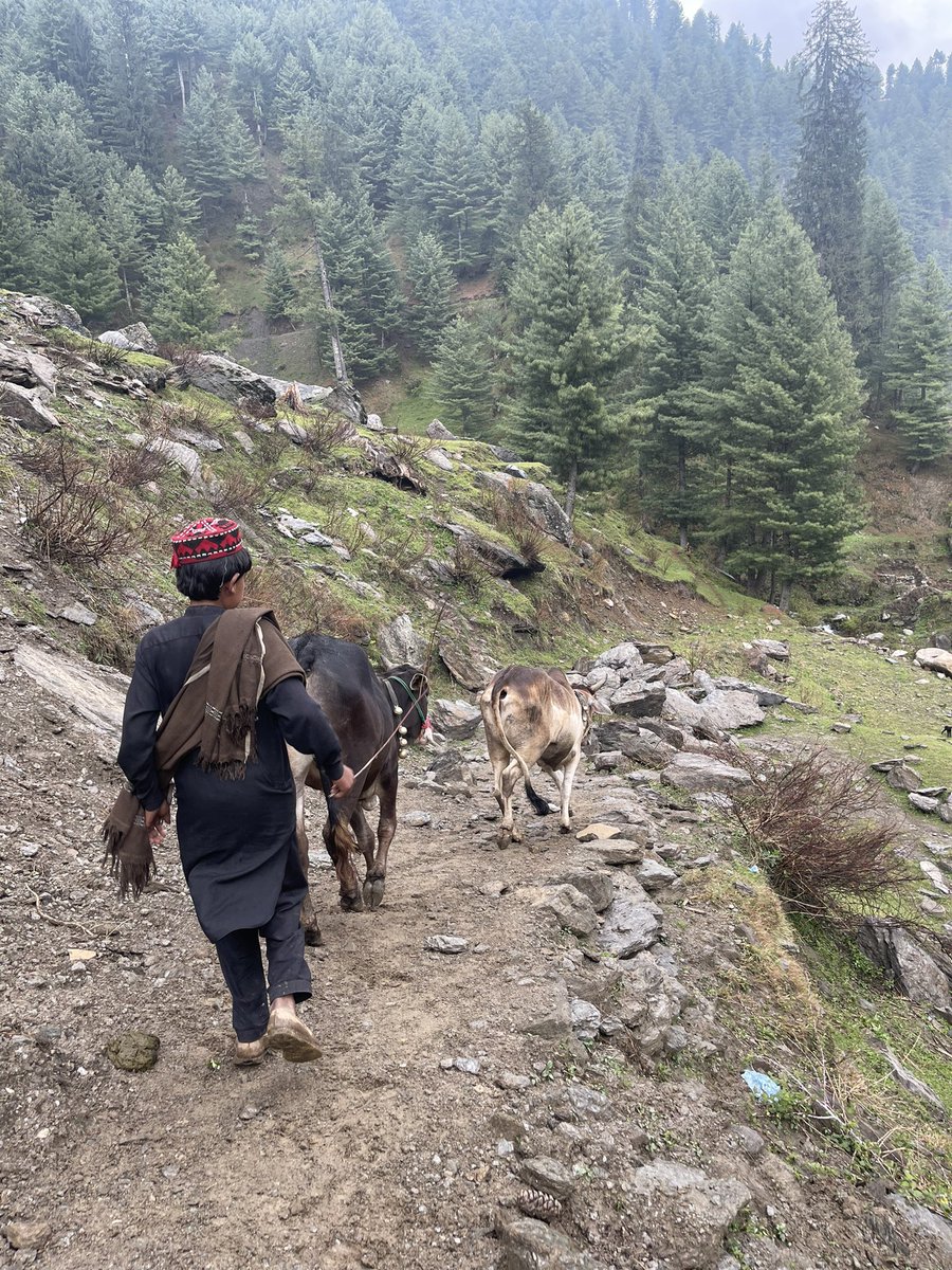 #Mundi #SirranValley #Mansehra