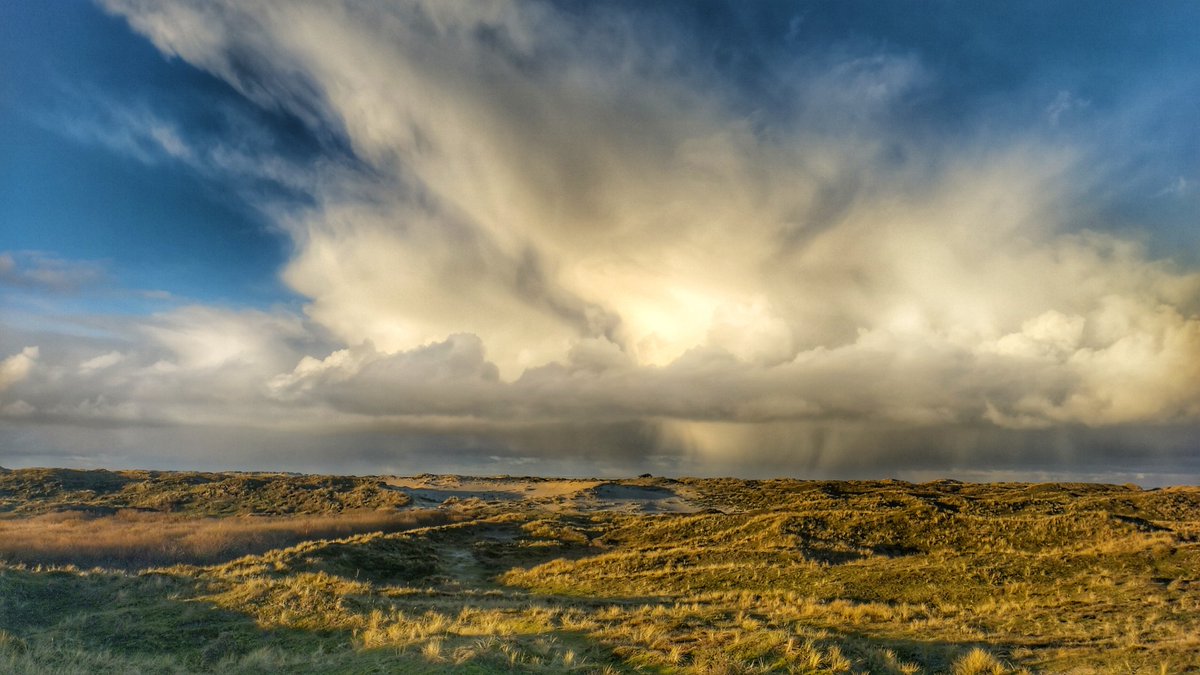 BoswchtrAnnoTS's tweet photo. Bedankt @SytseSchoustra voor al je mooie platen. #Terschelling #rip https://t.co/rBJc4kd78g