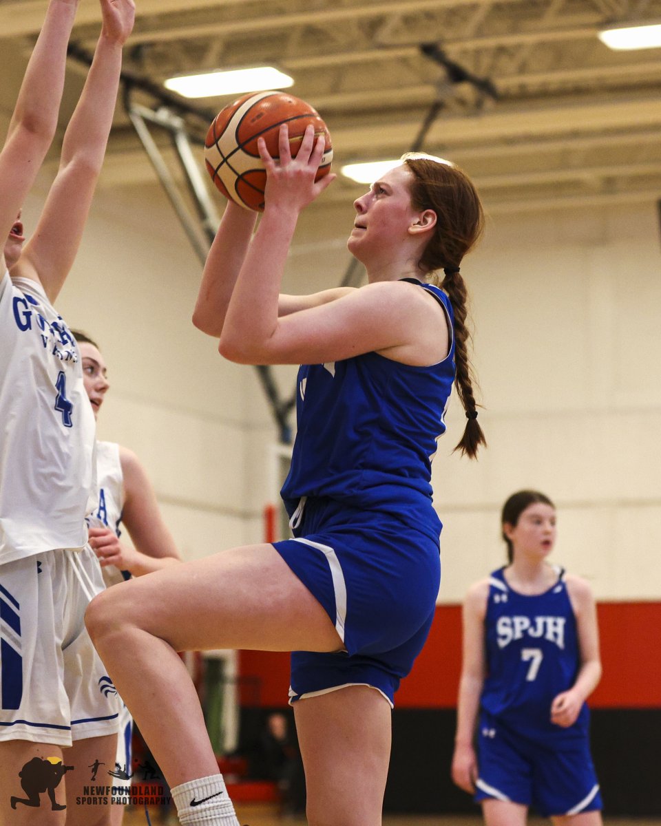 Newfoundland Sports Photos tweet media