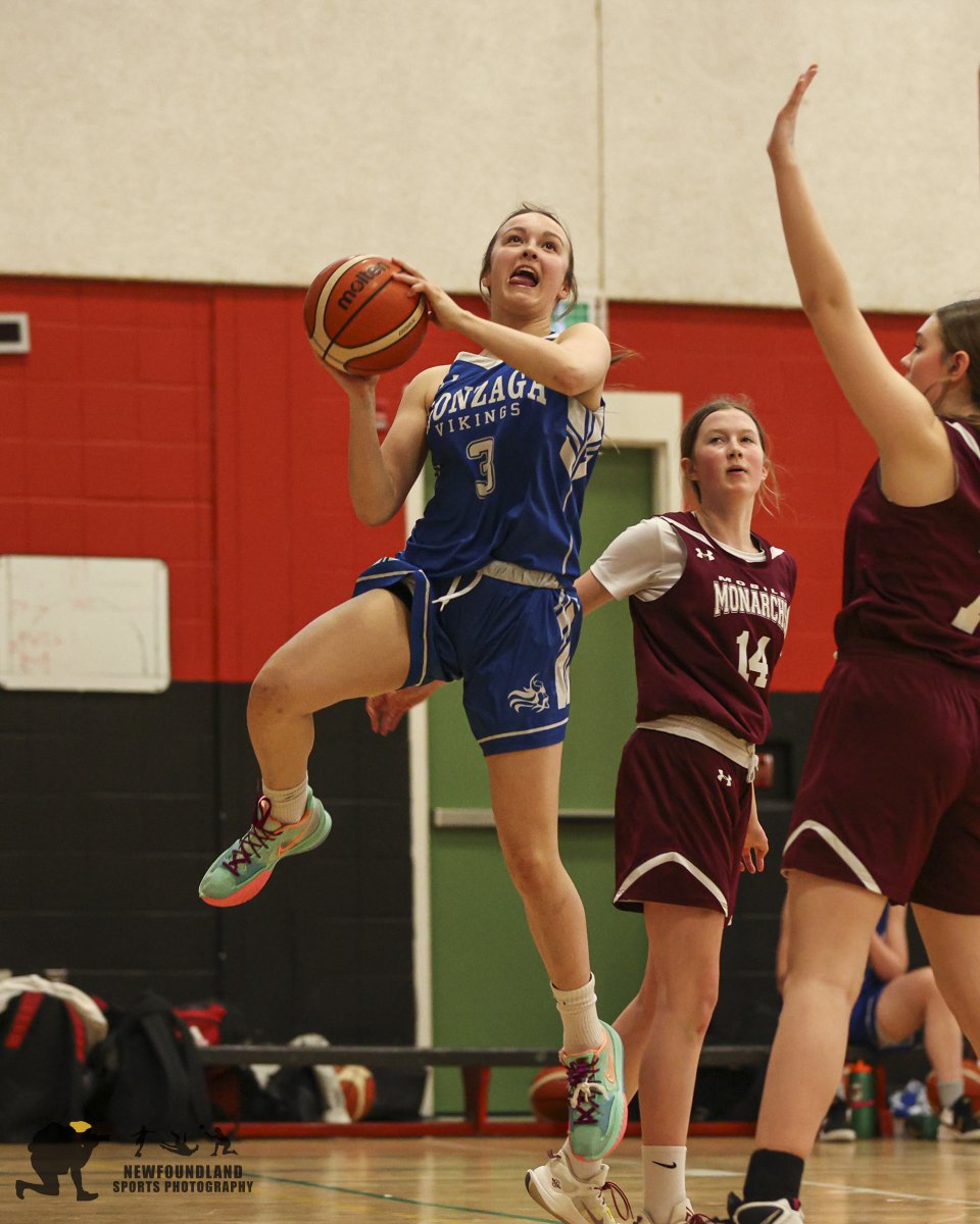 Newfoundland Sports Photos tweet media
