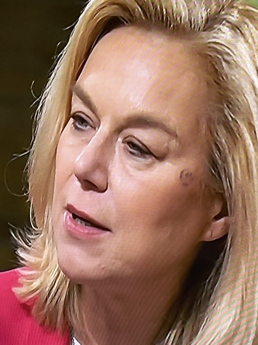 Is #kaag tegen een boom aangevlogen 🧹🧙‍♀️

#Buitenhof