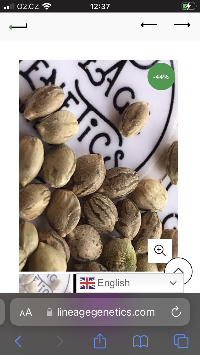 Lineagegenetics's tweet photo. Breeders Pack, 261 seeds Only €199 Today Only…
@CannaQueenGenco #420community #420Life #Automaticseeds #cannabisnews #cannabisseeds #homegrownweed #legalizeweed #qualityseeds #regularseeds #thc #weedlife https://t.co/sBMAUqBSRl