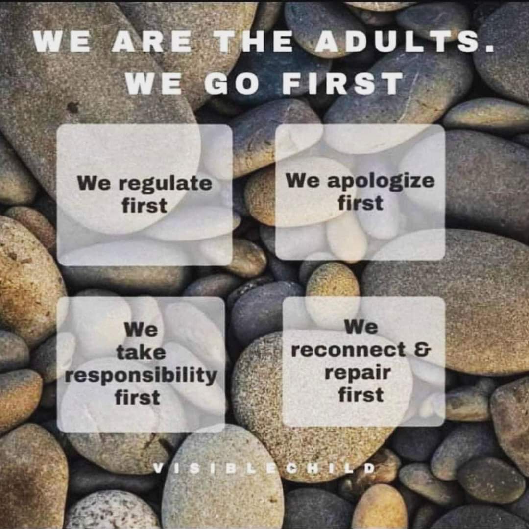 It starts with us.

Bring our young people into your calm.Don't let them bring you into their storm.

We need to be the thermostat and not the thermometer. 🧠🌱