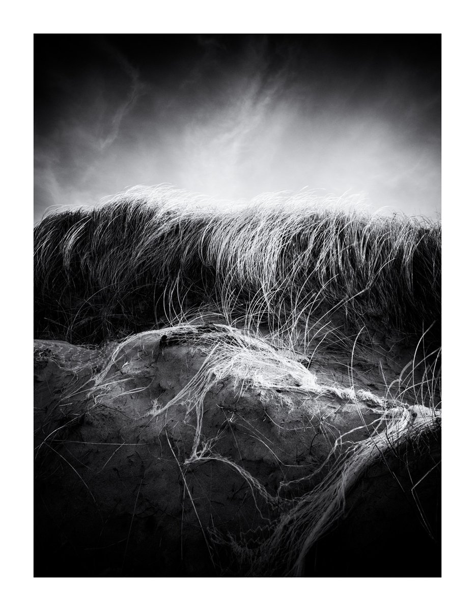 Recently processed #monochrome images from Feb 2020 on #SouthUist