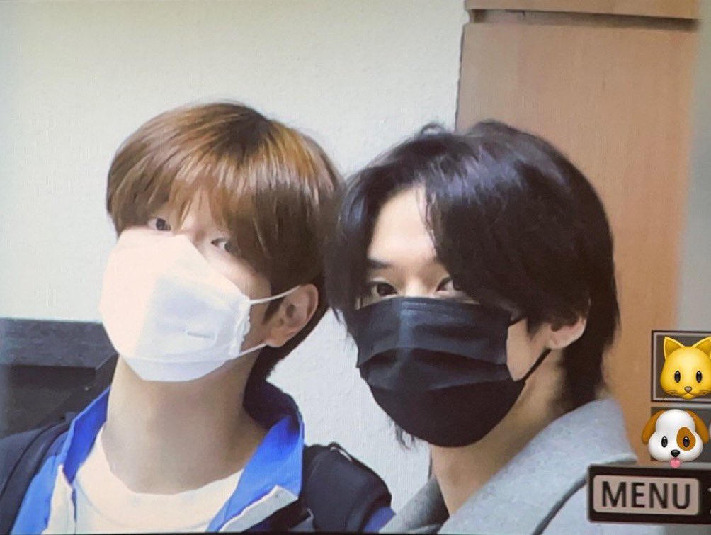 dailygagwanz's tweet photo. 🐱 🐶 = 🖤 https://t.co/ggYGNr7BlN