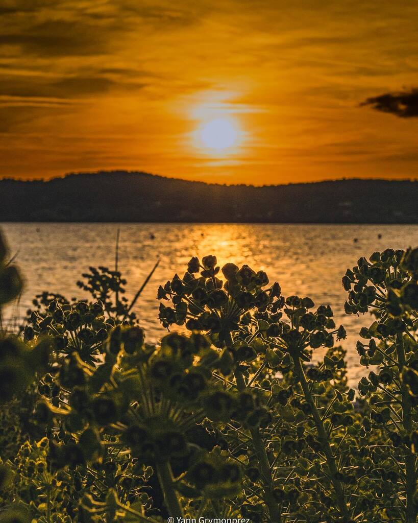 ygrymonprez's tweet photo. Couché de soleil sur le port de Saint-Chamas☀️

#france_focus_on #coeurdepaca #nature_focus_on #hello_france #kings_longexpo #igers_sudprovence #igerspaca #provence #paca #landscape #landscapephotography #landscapes #sunset #sunsetlovers #sunsetphotography #naturephotography… https://t.co/x8JbduLU98