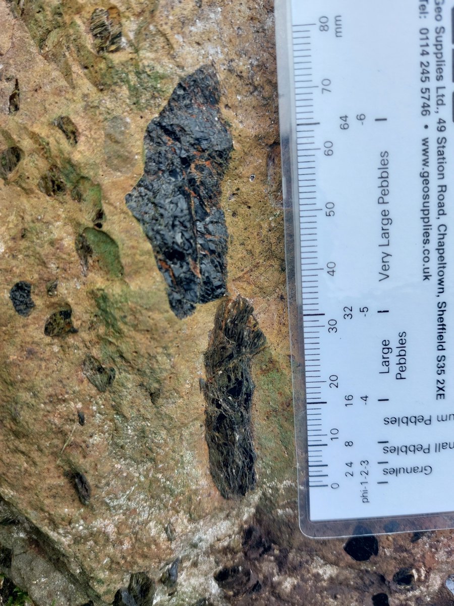 david webster🏴⚒🇪🇺 tweet media