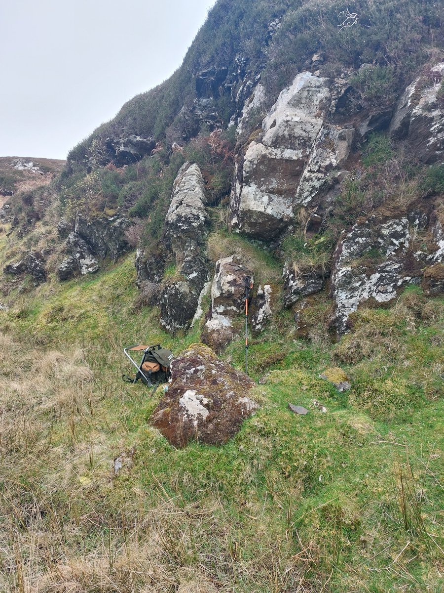 david webster🏴⚒🇪🇺 tweet media