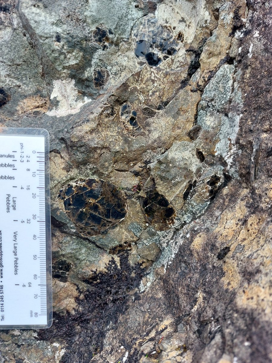 david webster🏴⚒🇪🇺 tweet media