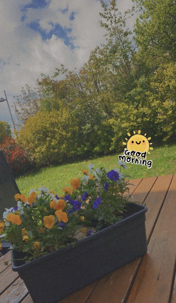 Heute ist es soo mega schön 🥰 
Alles blüht und ist bunt 🌻
