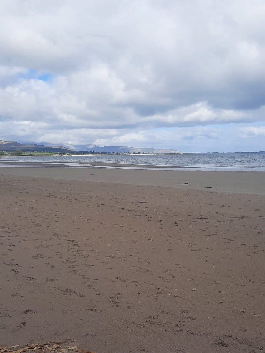 iSUPIreland's tweet image. #FeelingOptimistic for #paddle in #Kerry #ireland 🇮🇪 #BankHolidayWeekend #BankHoliday 

#SUPlove #LoveToSUP #SUP #iSUP #Paddleboard #Paddleboarding #PaddleboardingIreland #PaddleboardIreland #PaddleboardsIreland  #StandUpPaddleboarding #HappyPaddles