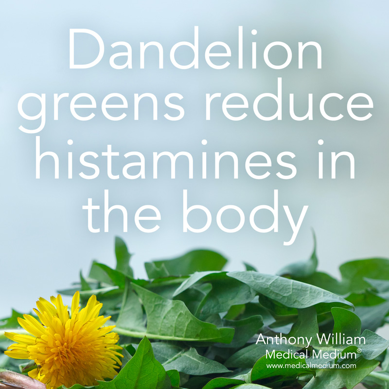 144Health's tweet photo. #Dandelion greens reduce #histamines in the body https://t.co/LIWjsr7aUo