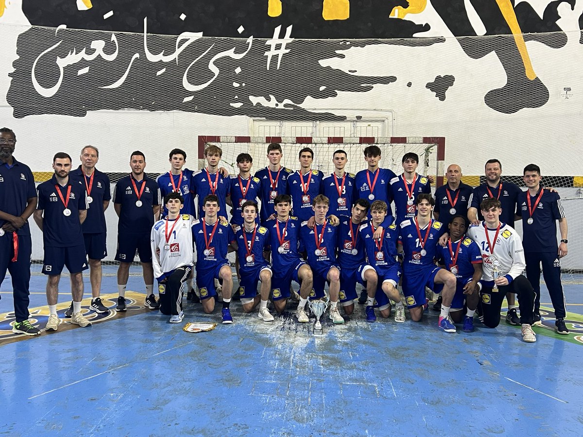 Ligue Handball Pays de la Loire tweet media