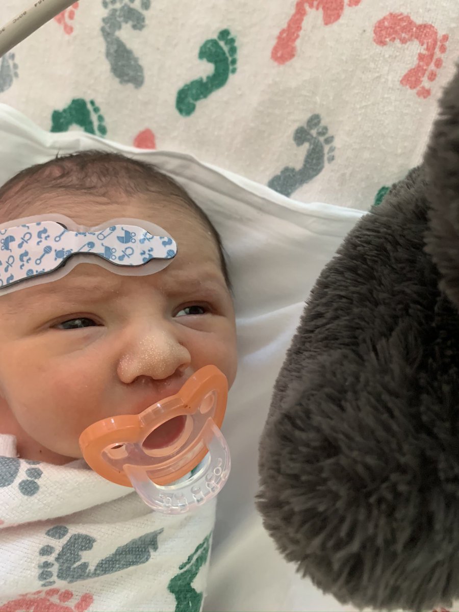 Michael Breuer tweet media